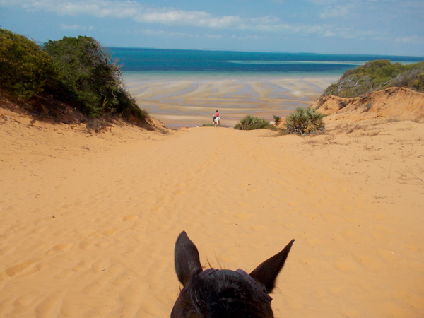 between the ears view from horseback of red dune of vilankulo bay 